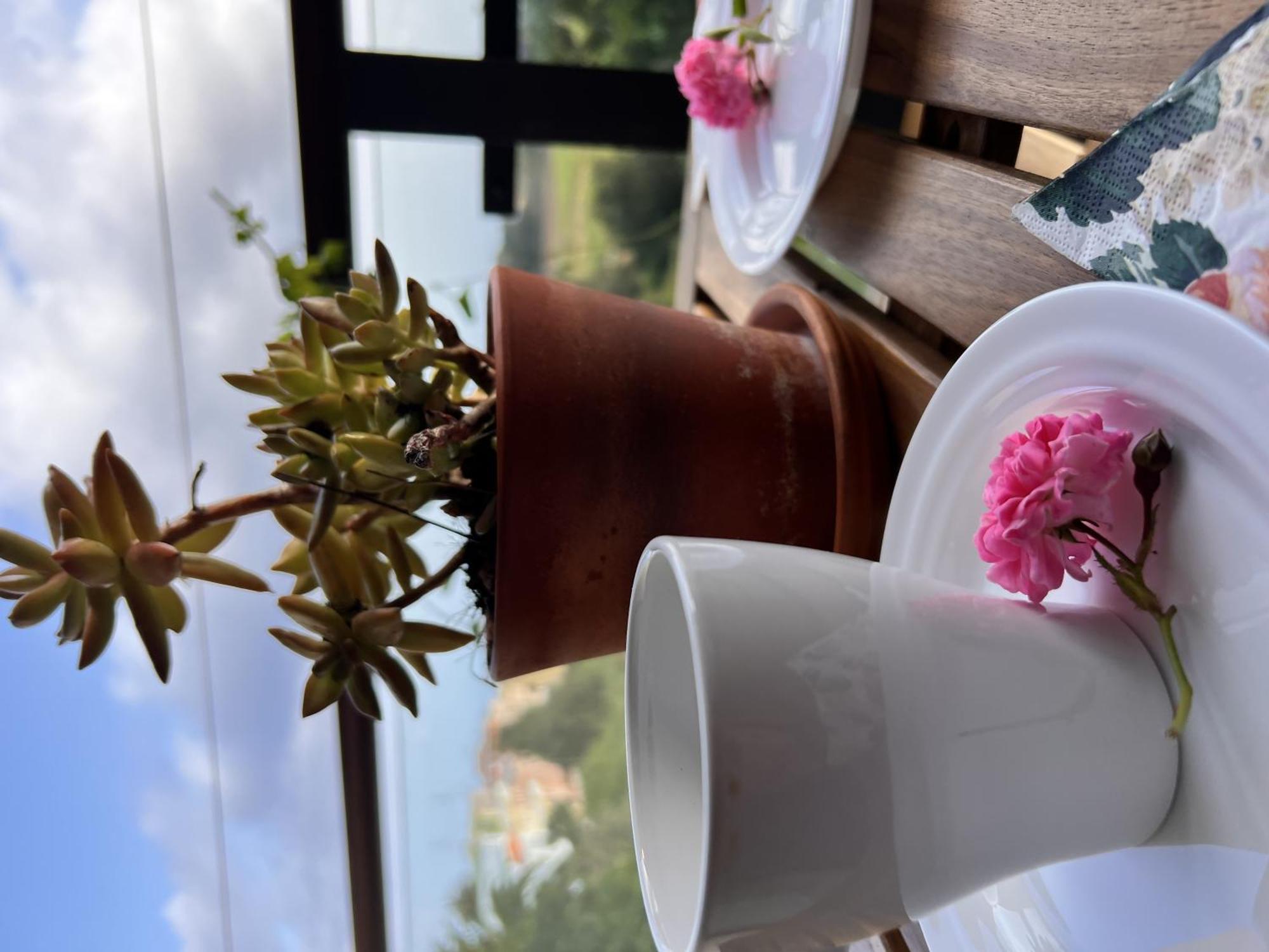 Casa Maricarmen Villa Tacoronte Pokoj fotografie